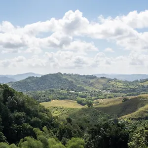 Hacienda Margarita Barranquitas