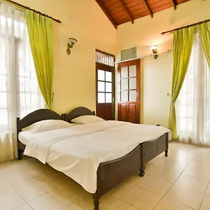 https://expeditor-kandy.kandyhotelsnow.com